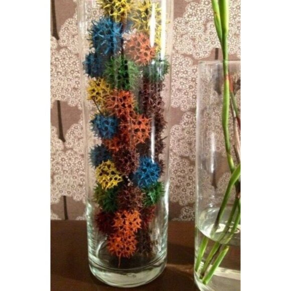 100 Sweet Gum Tree Balls Spiked Craft Decor Monkey Balls Spikey Brown Burrs - Picture 6 of 8